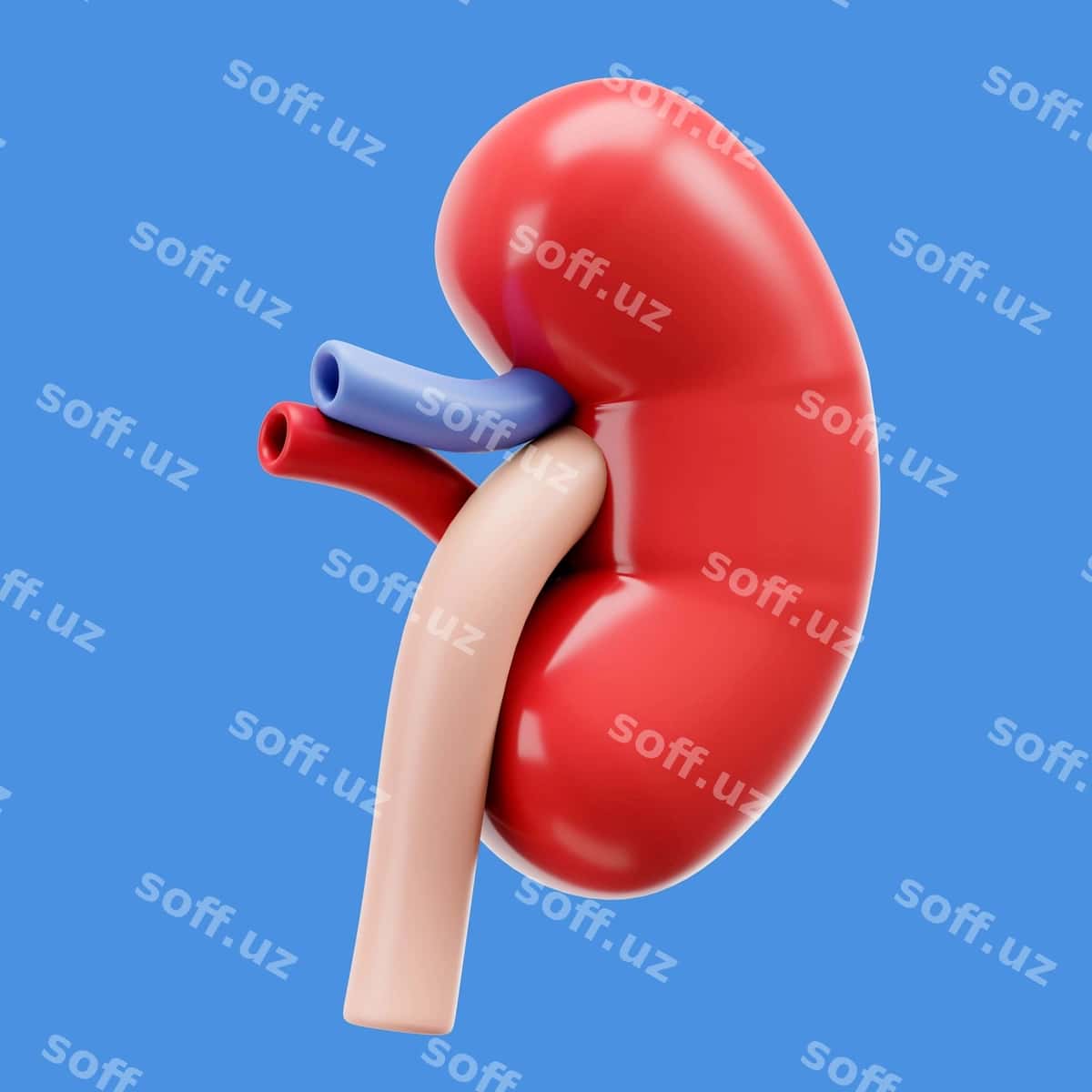 3D render insonga tana ikon | 3d rendering human body icon 1