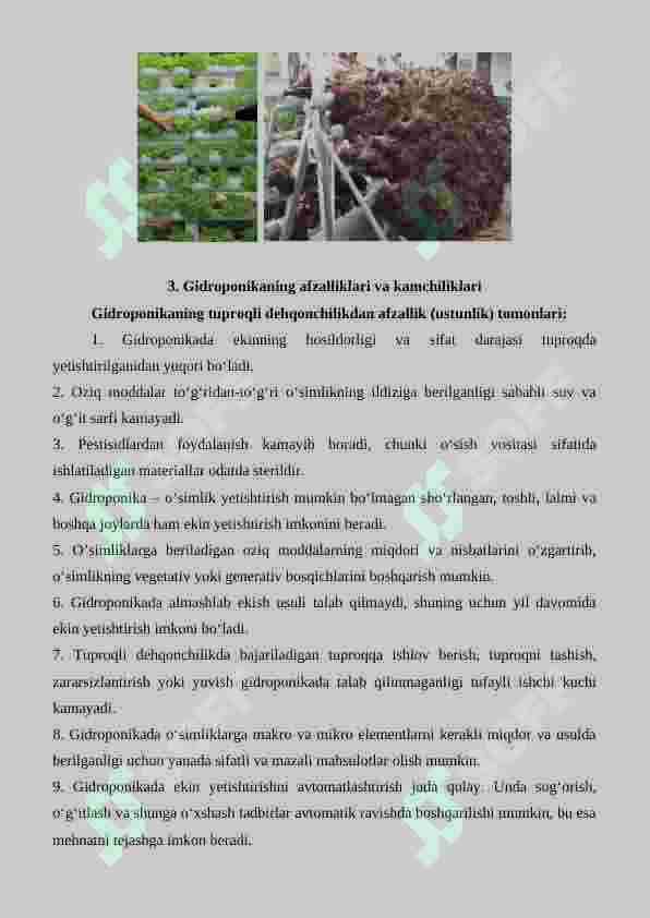 Gidropon issiqxonalar va ularning tuzilishi 4