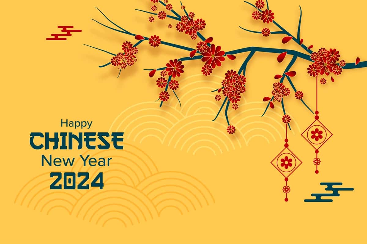 Xitoy yangi yili | Chinese new year 1