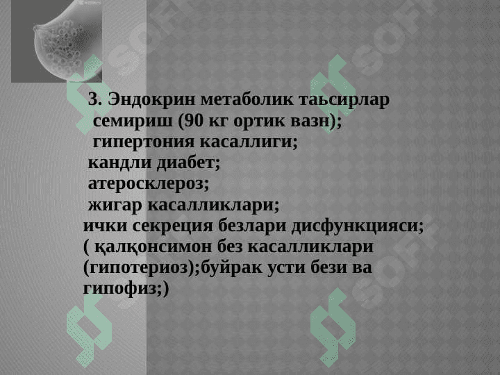 SUT BEZI SARATONI 8