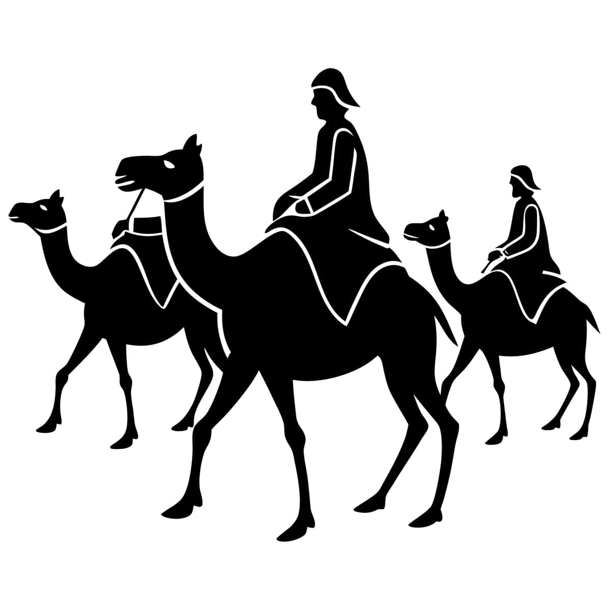 Shlyapa bilan tuya minayotgan odam | Man riding camel with hat it 1