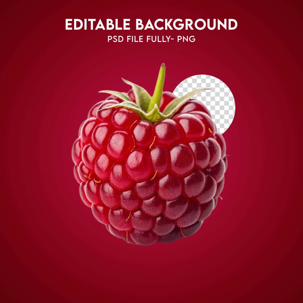 Yangi pishgan qizil malina izolyatsiya qilingan mustahkam fon | Fresh ripe red raspberry isolated solid background 1