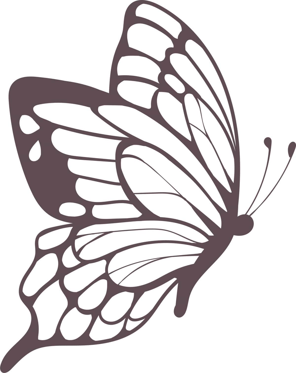 Kapalak | Butterfly 1