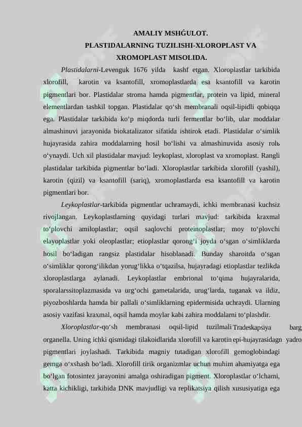 PLASTIDALARNING TUZILISHI-XLOROPLAST VA XROMOPLAST MISOLIDA. 1