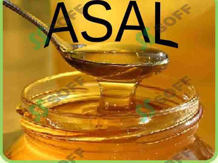 ASAL 1