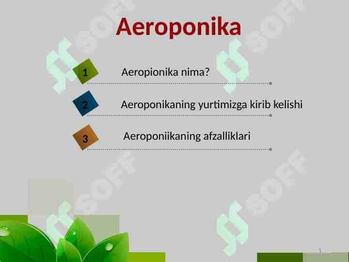Aeroponika 1
