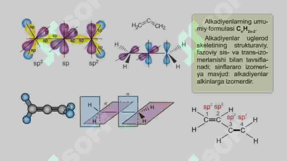 Alkadiyenlar 2