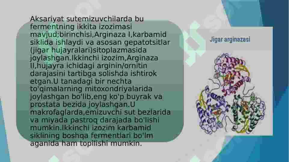 Arginaza fermentining tibbiyotdagi ahamiyati 3