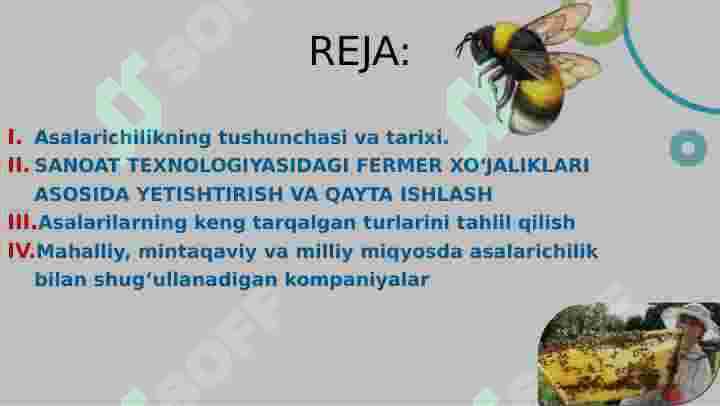 Asalarichilik Prezentatsiya 2
