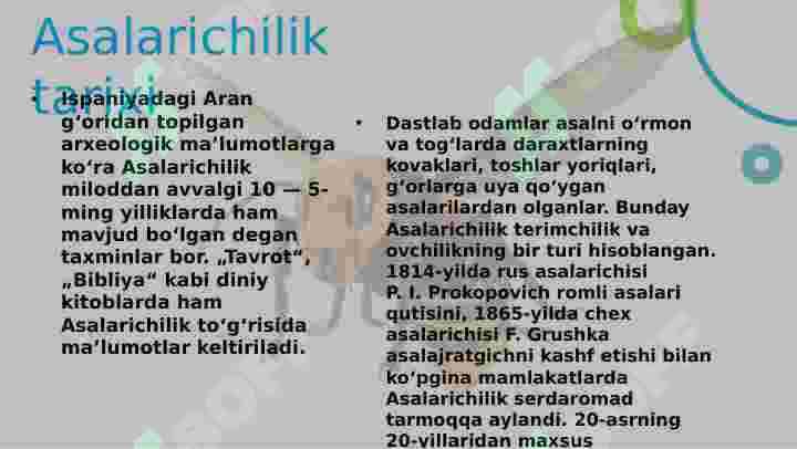Asalarichilik Prezentatsiya 4