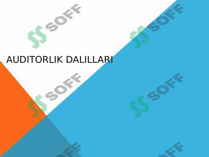 Auditorlik dalillari 1