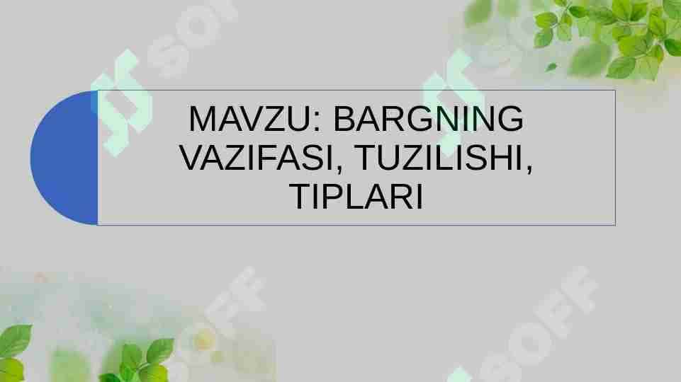 BARGNING VAZIFASI, TUZILISHI, TIPLARI 1