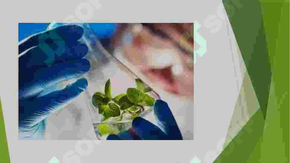 BIOTEXNOLOGIYA 4