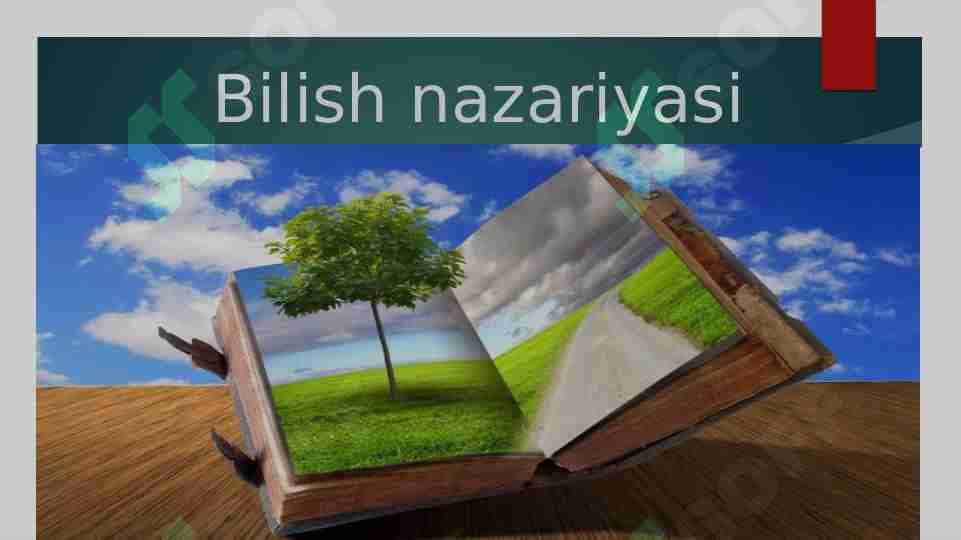 Bilish nazariyasi 1