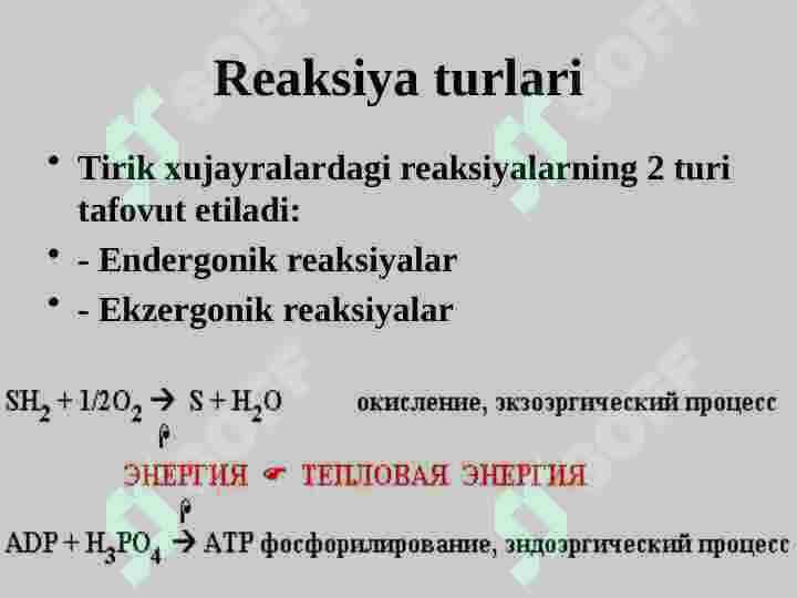 Biologik oksidlanish 3
