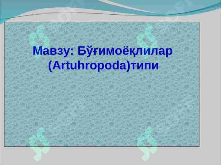 Bo‘g‘imoyoqlilar   (Artuhropoda) tipi 1