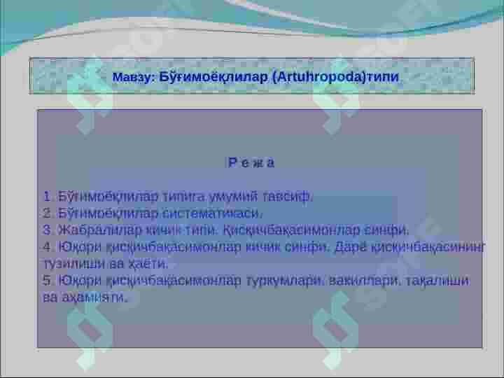 Bo‘g‘imoyoqlilar   (Artuhropoda) tipi 2