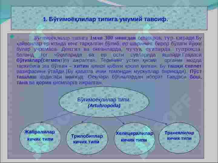 Bo‘g‘imoyoqlilar   (Artuhropoda) tipi 3