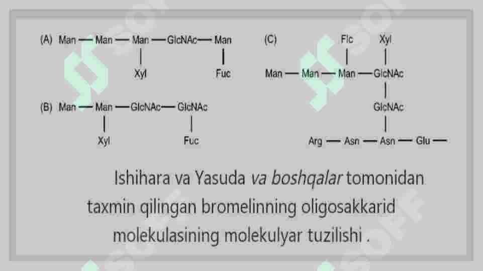 Bromelin fermentining oziq-ovqat sanoatida qo’llanilishi 5