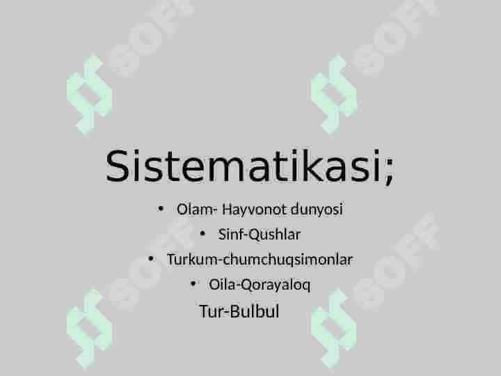 Bulbul 2