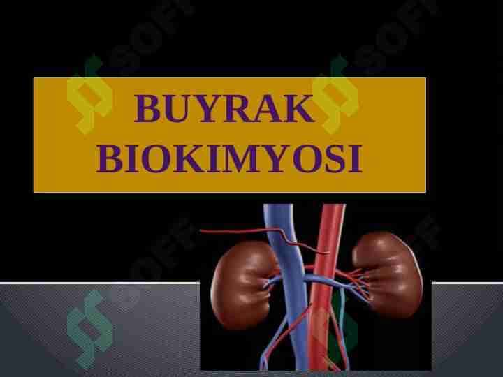 Buyrak biokimyosi 1