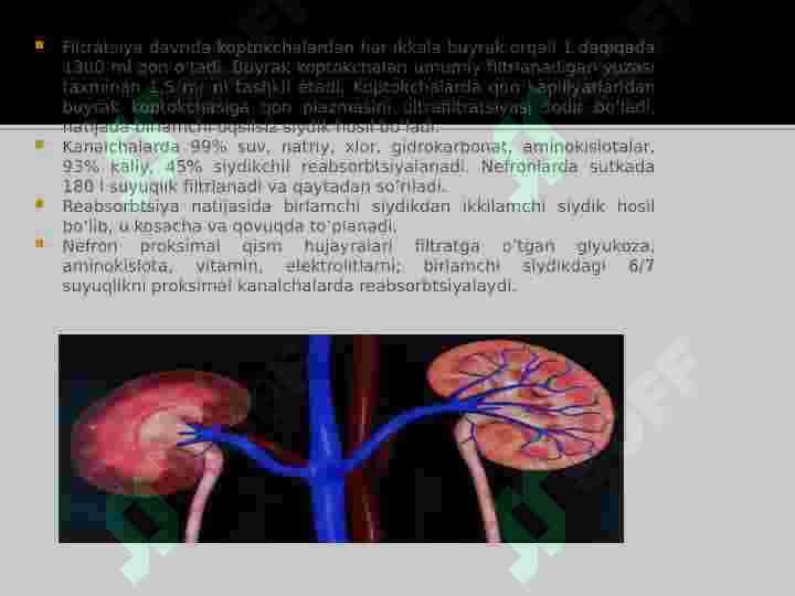 Buyrak biokimyosi 4