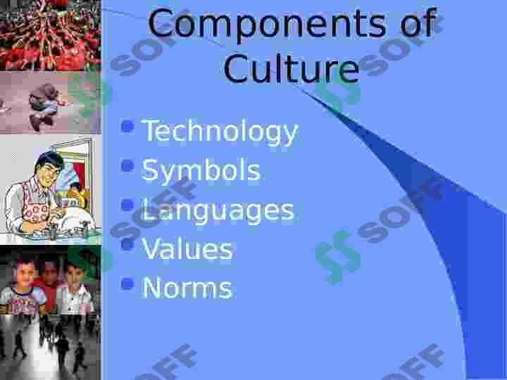 Cultural Variation 4
