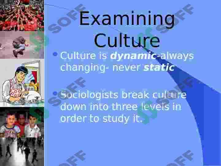 Cultural Variation 7