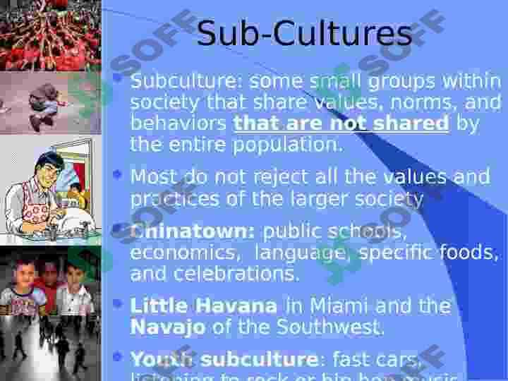 Cultural Variation 8