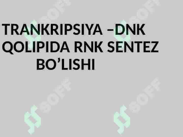 DNK Transkripsiyasi 3