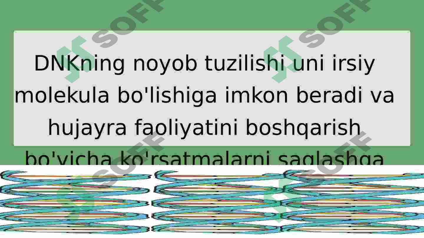 DNK nima 3
