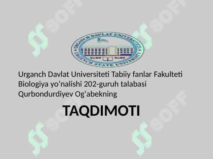 Daraxt Damani