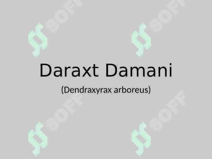 Daraxt Damani 2
