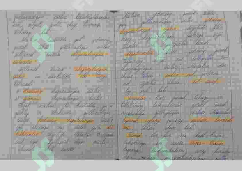 Tilshunoslik nazariyasidan mustaqil ta'lim 2