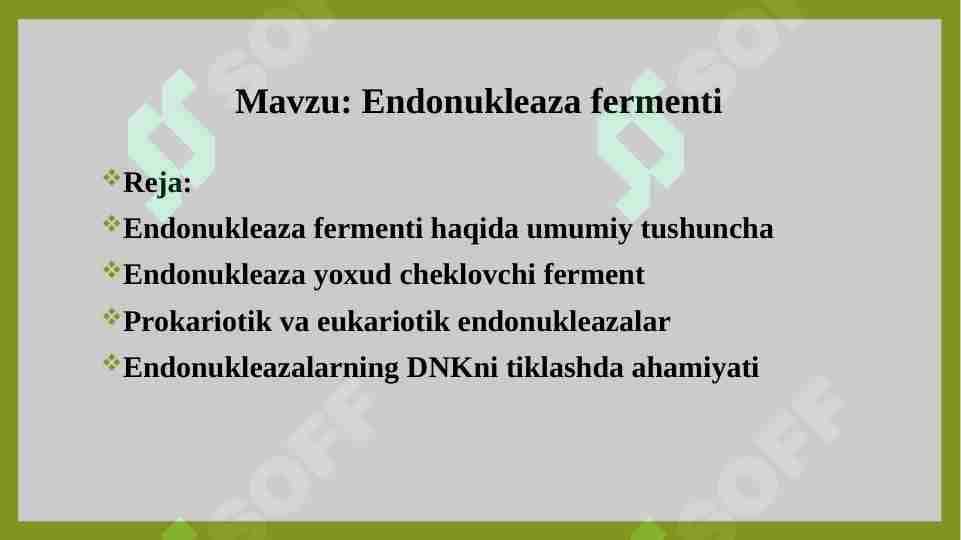 Endonukleaza fermenti