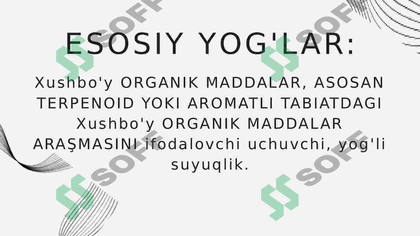 ESSENTIAL YOG'LAR 2