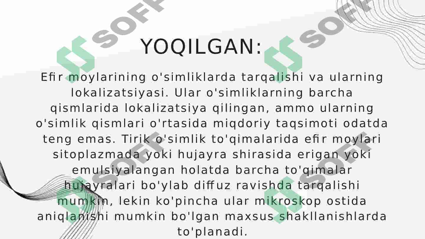 ESSENTIAL YOG'LAR 4