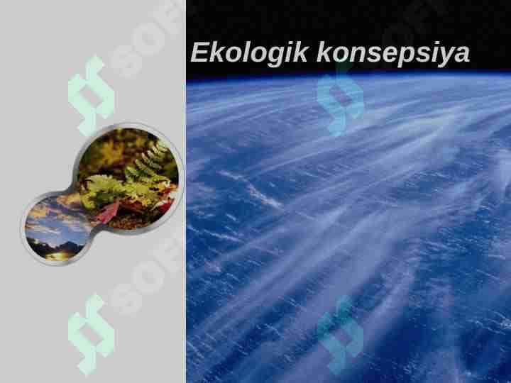 Ekologik konsepsiya 1
