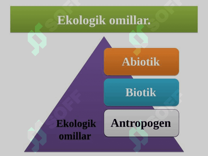 Ekologik omillar 3