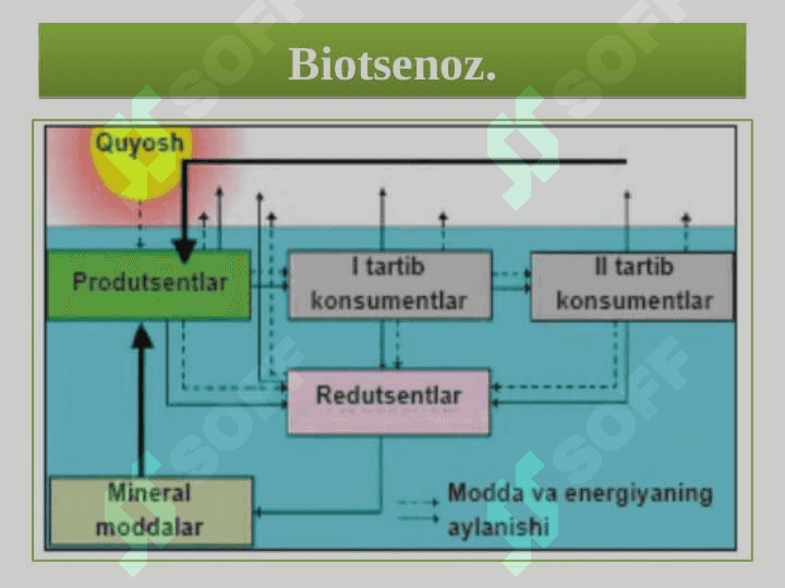 Ekologik omillar 8