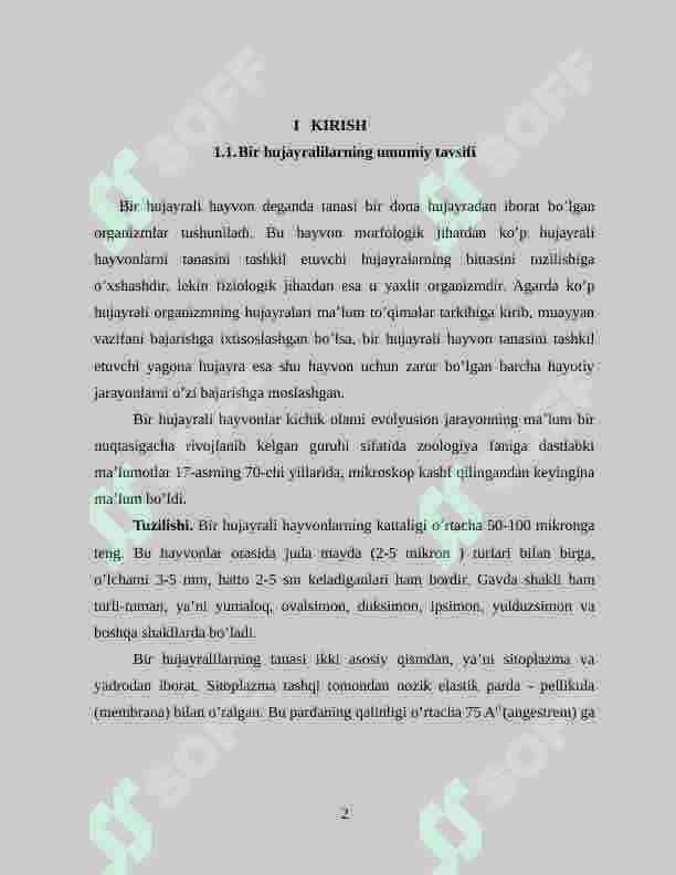 Bir hujayralilar ya`ni soda hayvonlar  va ko'p hujayralilar dunyosi filogeniyasi 2
