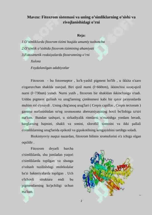 Fitoxrom sistemasi va uning o’simliklarning o’sishi va rivojlanishidagi o’rni