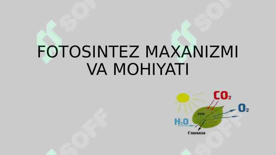 fotosintez mohiyati 1