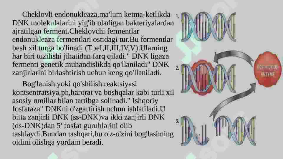 Gen muhandisligi 5