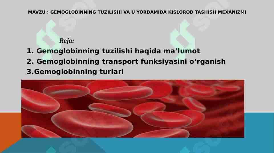Gemoglobinning tuzilishi va u yordamida kislorod tashish mexanizmi 1