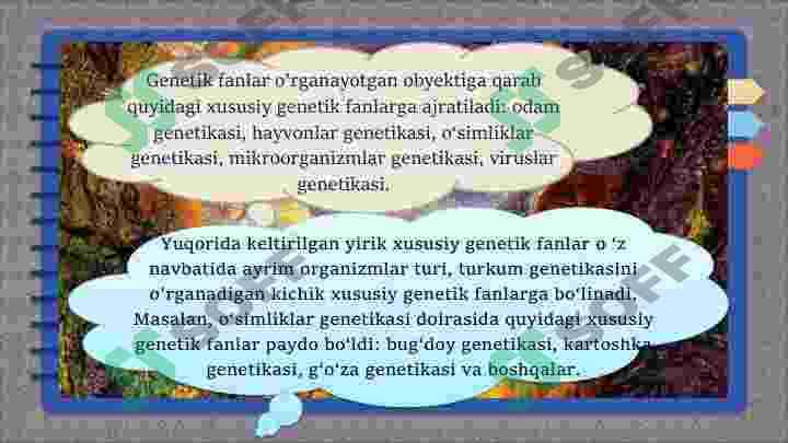 Genetika yo'nalishlari 5