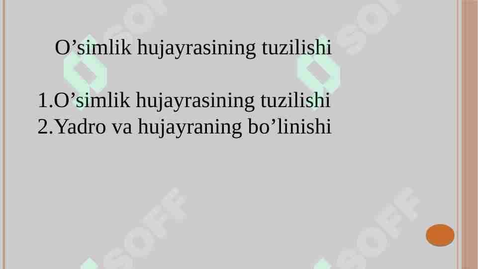 O’simlik hujayrasining tuzilishi 1