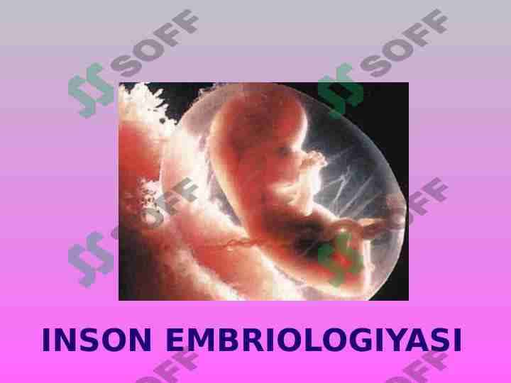 INSON EMBRIOLOGIYASI 1