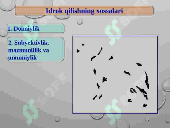idrok 8