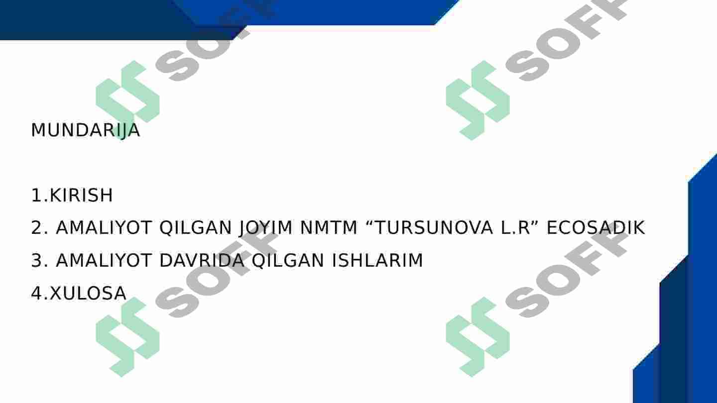 Yozgi amaliyot. Maktabgacha ta'lim muassasasida. Buxgalteriya bo'limi. Iqtisod yo'nalishi 2